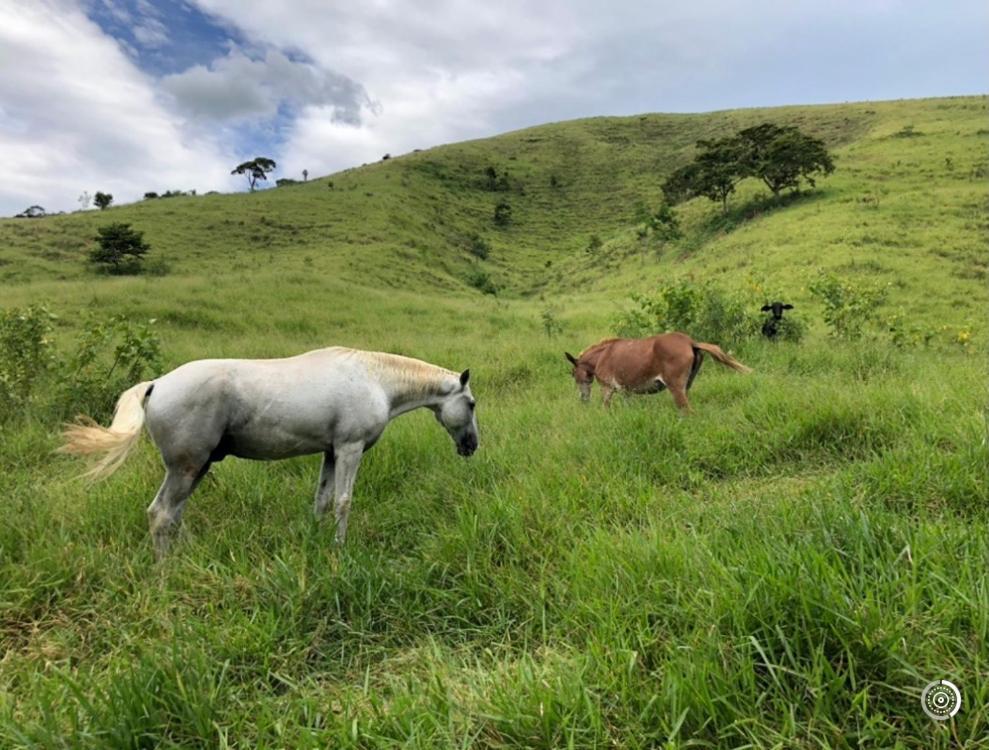 Vivenda Dos Guaranys -Um Projeto Ecologico - Casa Villa Conservatória Eksteriør bilde