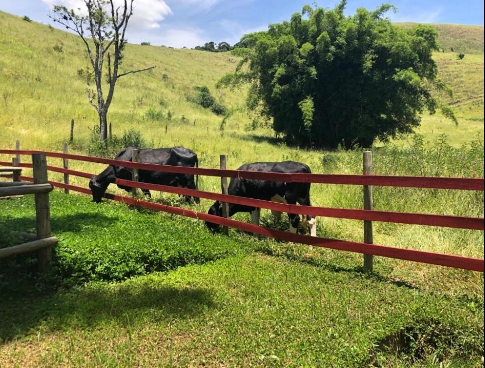 Vivenda Dos Guaranys -Um Projeto Ecologico - Casa Villa Conservatória Eksteriør bilde
