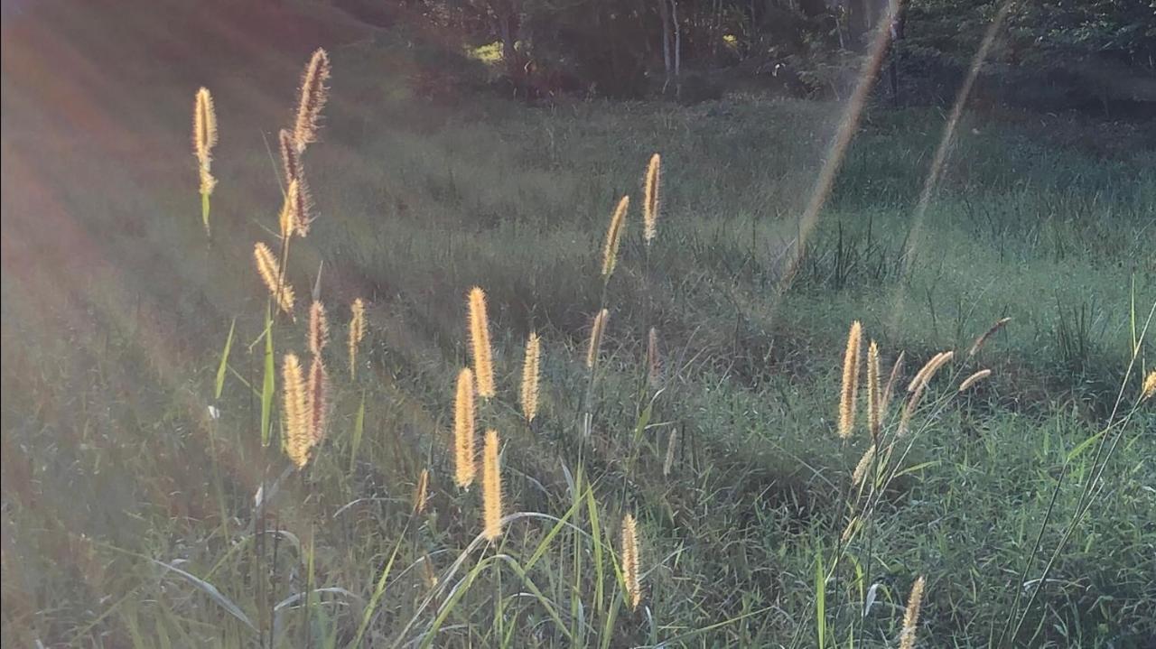 Vivenda Dos Guaranys -Um Projeto Ecologico - Casa Villa Conservatória Eksteriør bilde