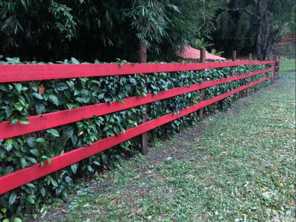 Vivenda Dos Guaranys -Um Projeto Ecologico - Casa Villa Conservatória Eksteriør bilde