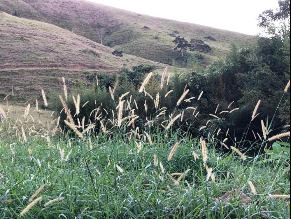 Vivenda Dos Guaranys -Um Projeto Ecologico - Casa Villa Conservatória Eksteriør bilde