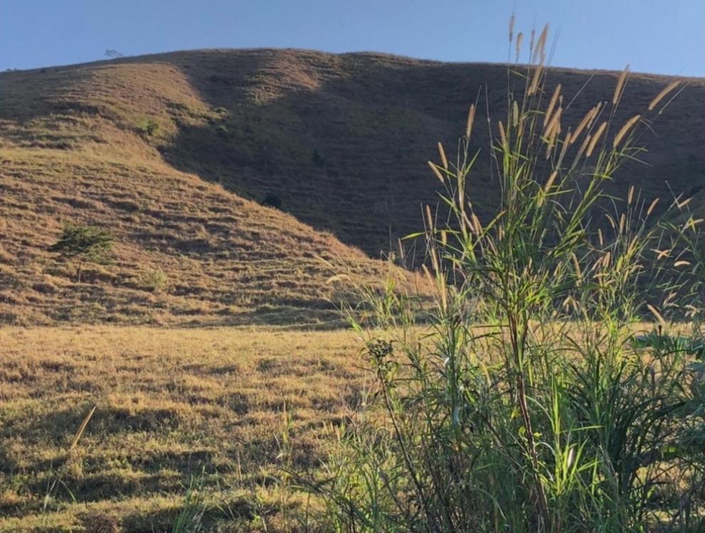 Vivenda Dos Guaranys -Um Projeto Ecologico - Casa Villa Conservatória Eksteriør bilde