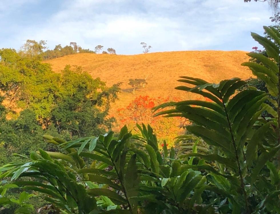 Vivenda Dos Guaranys -Um Projeto Ecologico - Casa Villa Conservatória Eksteriør bilde